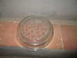 cloche en verre avec trous d'aération 23 cm x 7,5 cm  0 Mrignies (59)