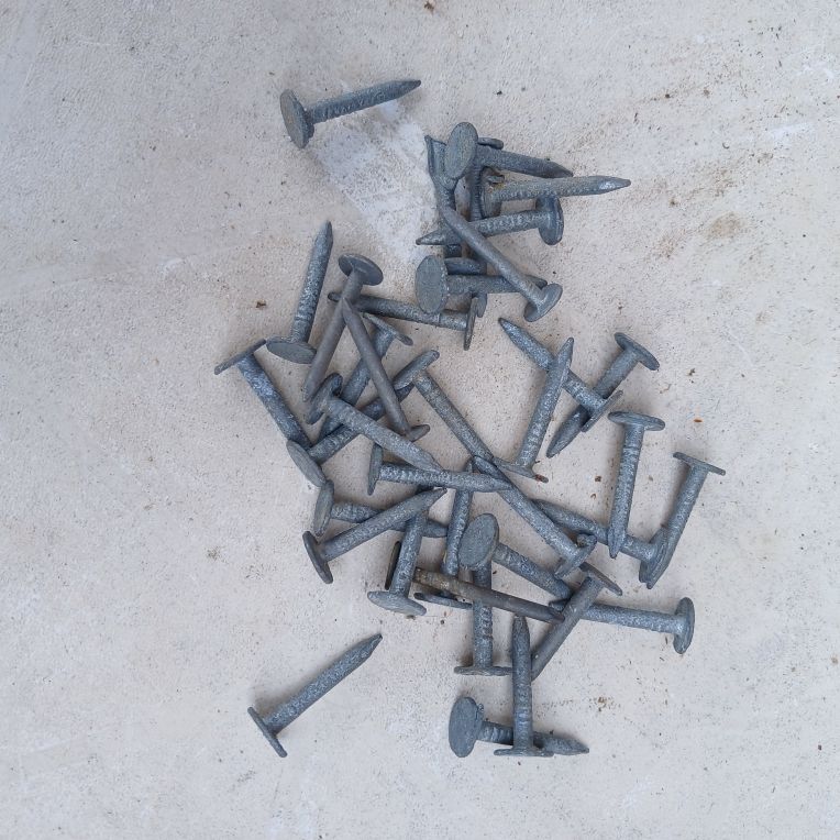 clous callotins 25 mm 7 Vendeuvre-du-Poitou (86)