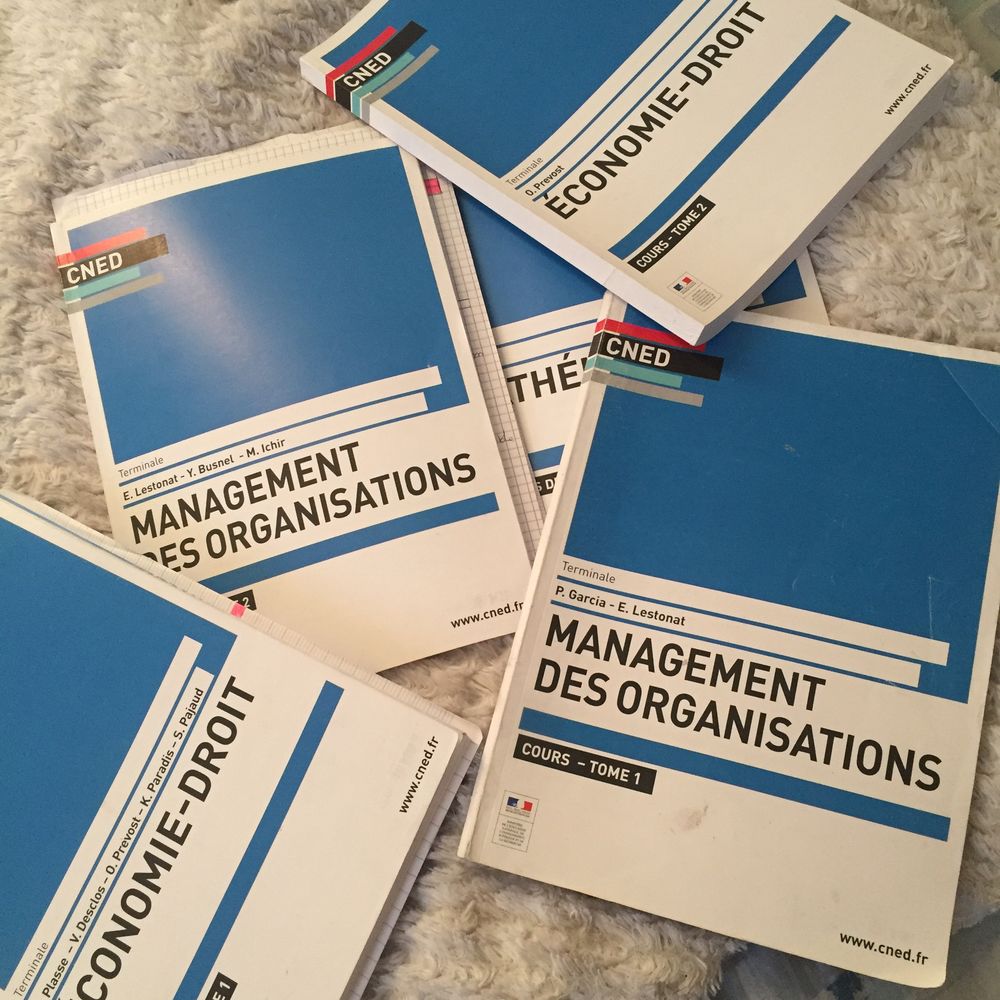 CNED LIVRES STMG MERCATIQUE TERMINALE 150 Montpellier (34)