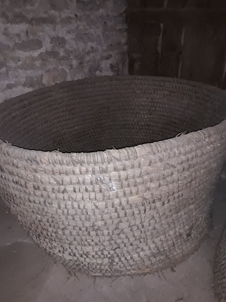 cobeille 0 Noidan (21)