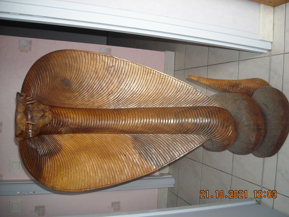 cobra en bois exotique 100 Talmont-Saint-Hilaire (85)