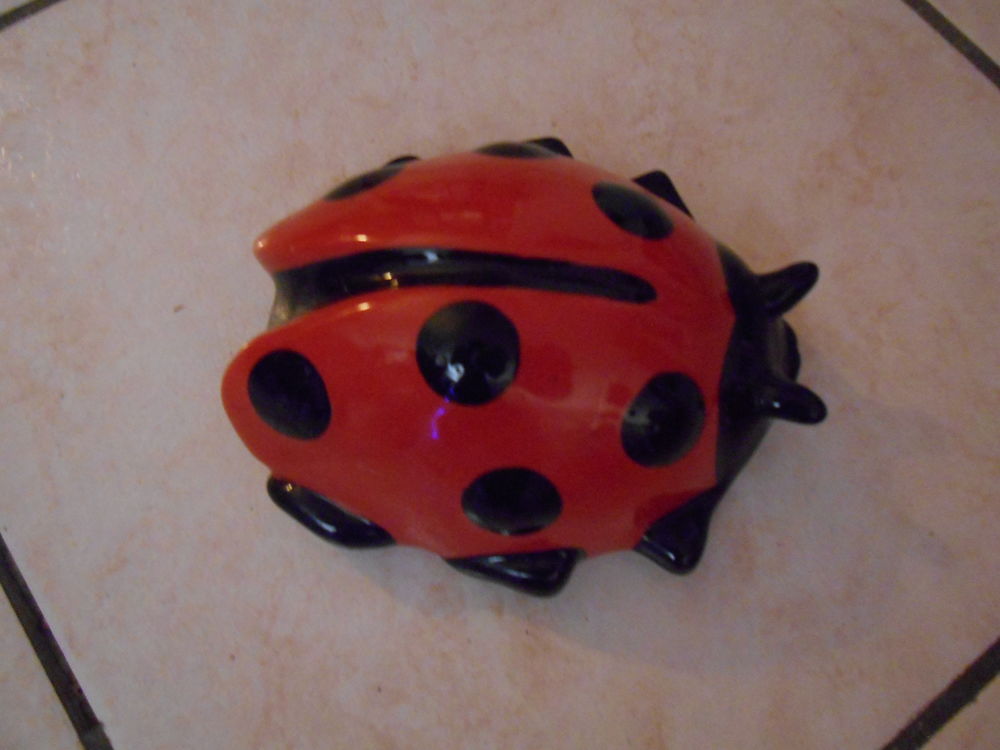 COCCINELLE JARDIN 13 Chevigny-Saint-Sauveur (21)