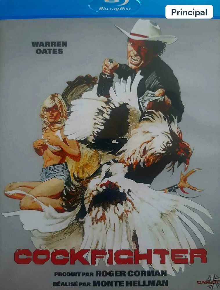 Cockfighter bluray 12 Ruitz (62)