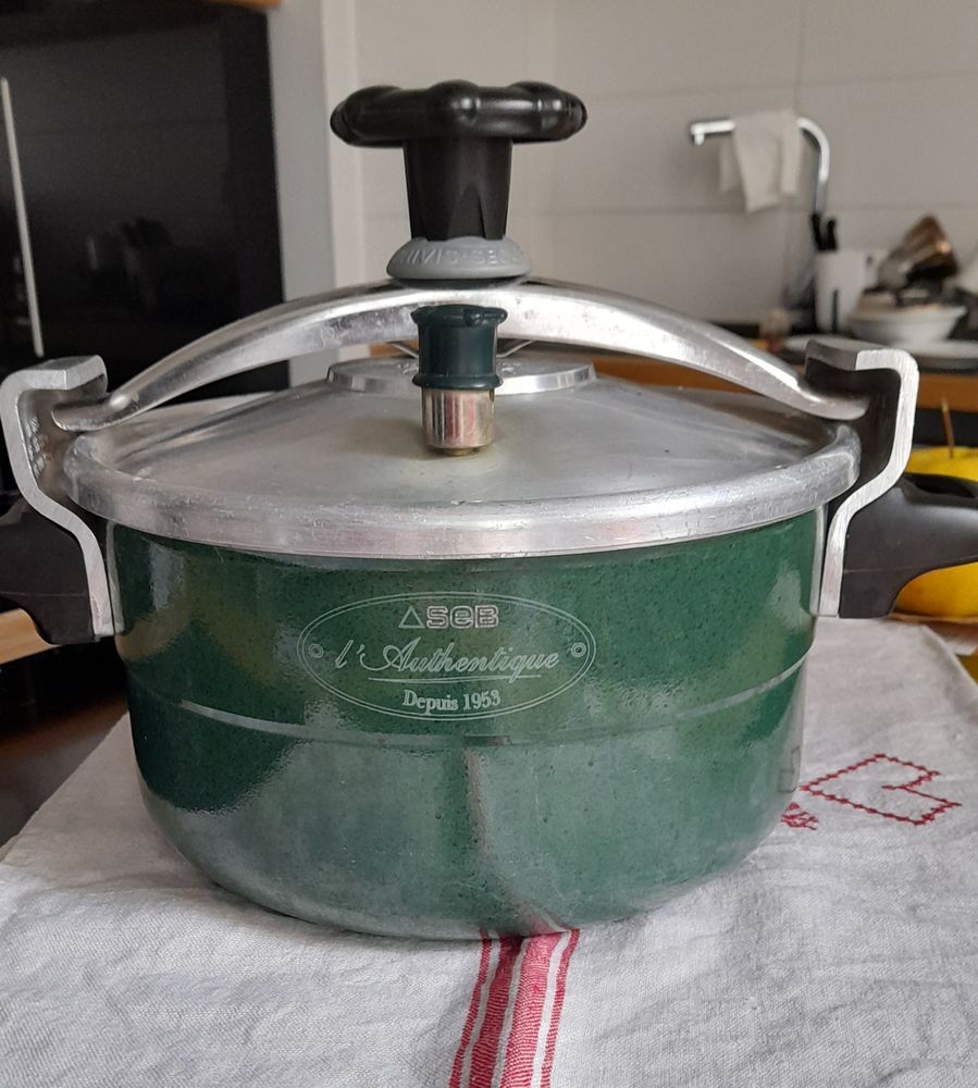 Cocotte minute Seb 6L 30 Saint-Etienne (42)