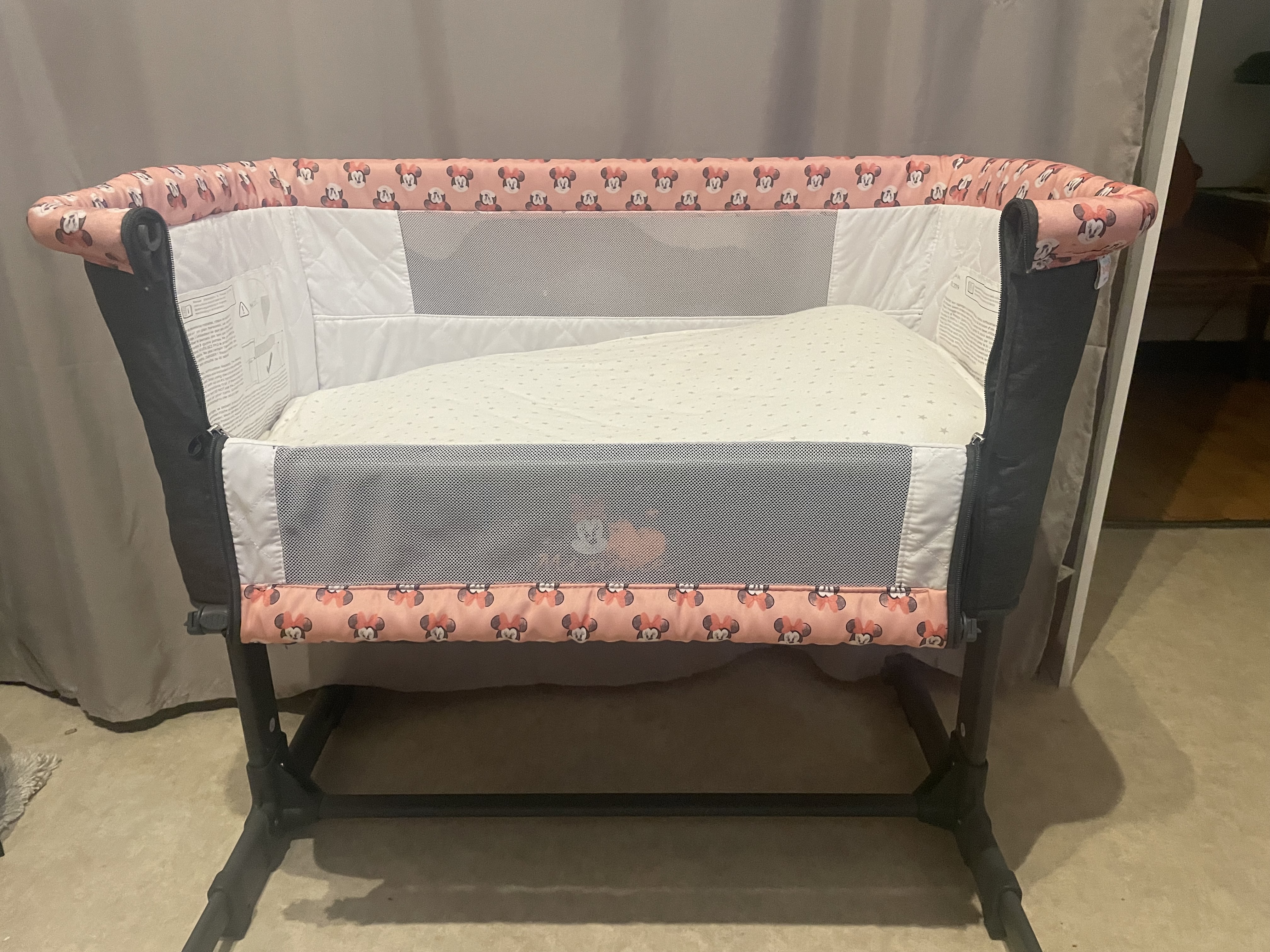 Cododo minnie 40 P�rigueux (24)