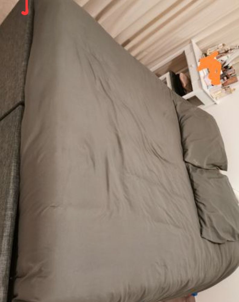 Lit coffre queen size 160x200 + rangements + matelas emma 550 Meudon La Foret (92)