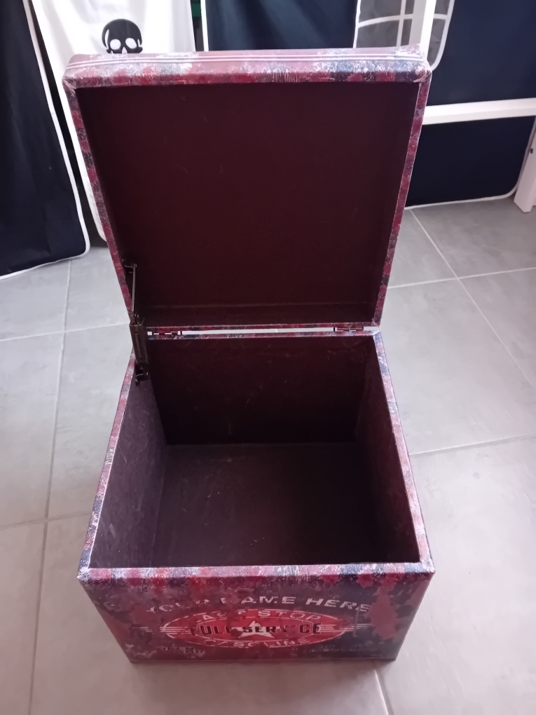 coffre vintage 30 Plaisance-du-Touch (31)