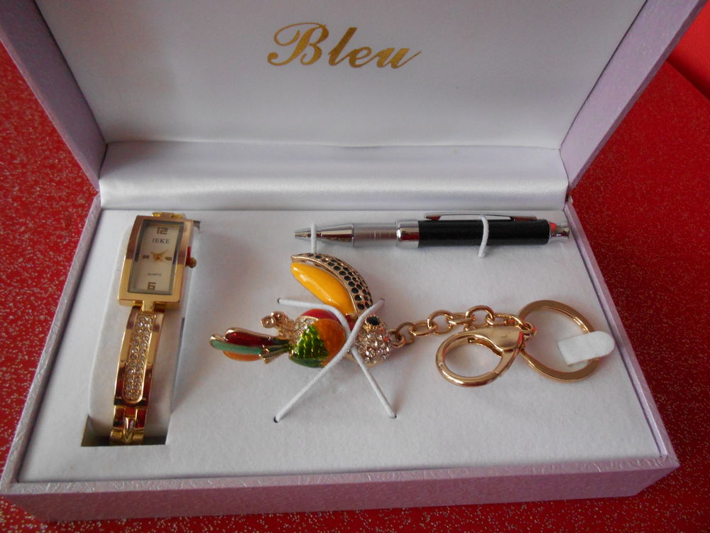 COFFRET AVEC BIJOUX 25 Chevigny-Saint-Sauveur (21)