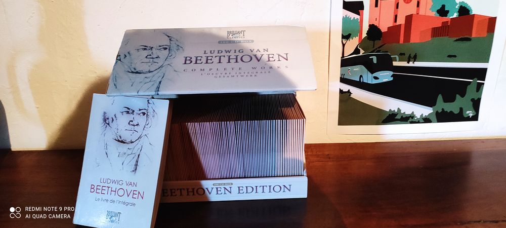 coffret Beethoven 100 CD 50 Flavin (12)