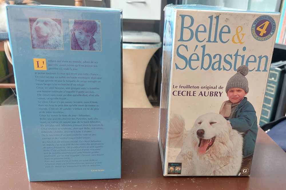COFFRET K7 VHS  BELLE ET SEBASTIEN  6 Boulogne-Billancourt (92)