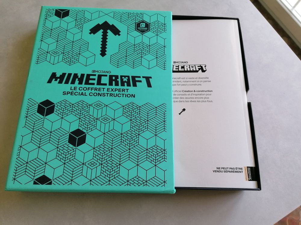 Coffret expert MINECRAFT 12 Jury (57)