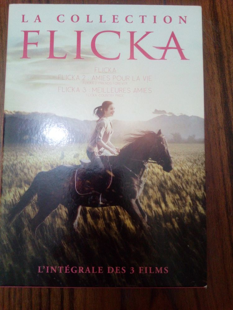 coffret DVD Flicka 10 Saint-Germain-des-Foss�s (03)