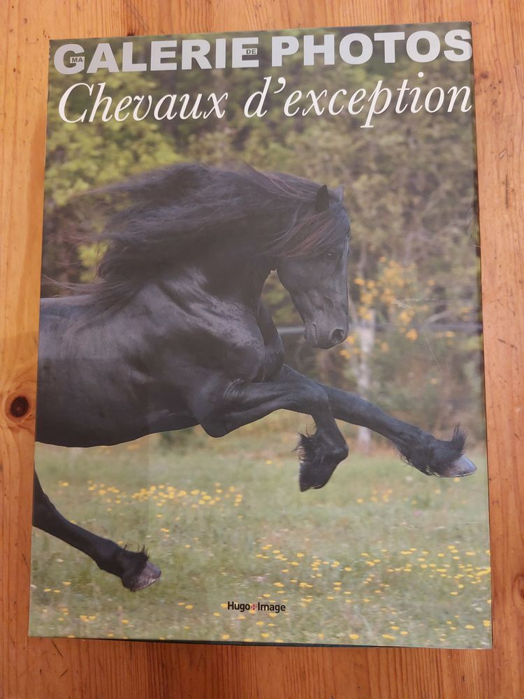 Coffret galerie Photos Chevaux 0 Metz (57)