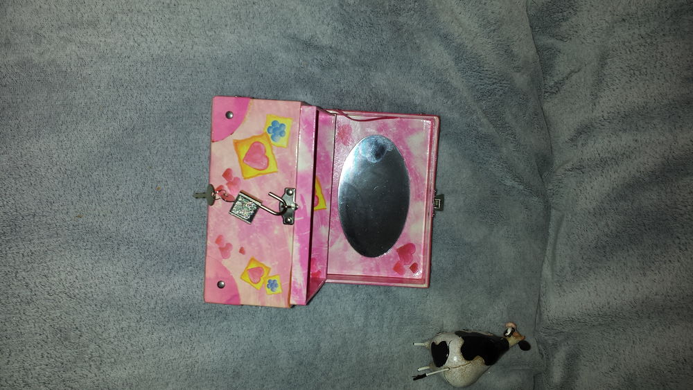 COFFRET ROSE DIDDL
LARGEUR 10 CM
LONGUEUR 15 CM 5 Triel-sur-Seine (78)