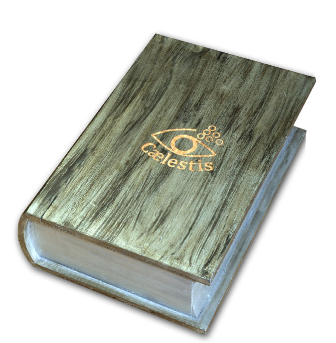 coffrets cadeaux vin pour 2 bouteilles 6 Marcenais (33)