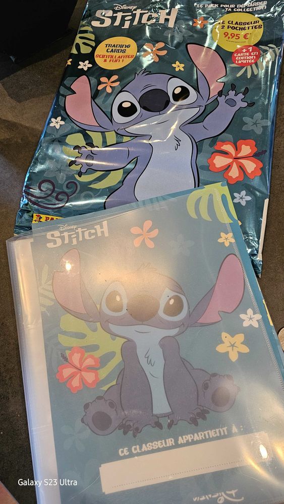 collecteur+stitch 5 Chapelle-Voland (39)