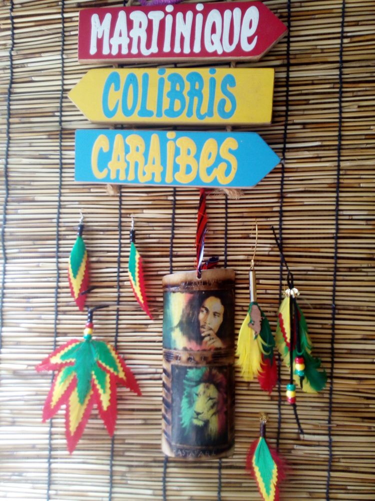 Collection bijoux plumes couleurs reggae 0 Fonds-Saint-Denis (97)