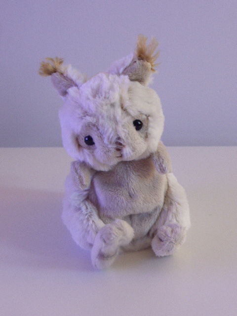 Collection  Bukowski  L'�cureuil blanc Blixten Brunis 7 Rueil-Malmaison (92)