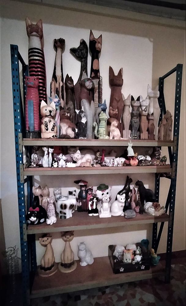 Collection de chats 10 Sarpourenx (64)