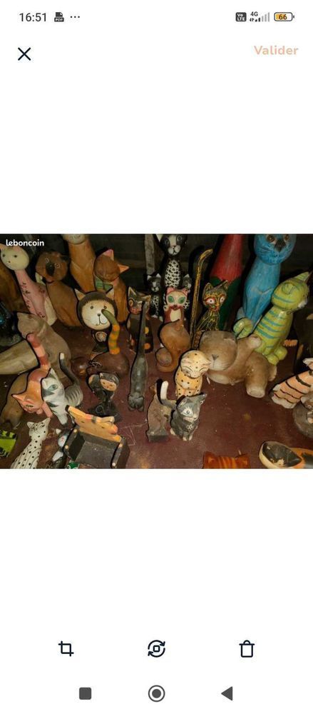 Collection de chats 2 Sarpourenx (64)