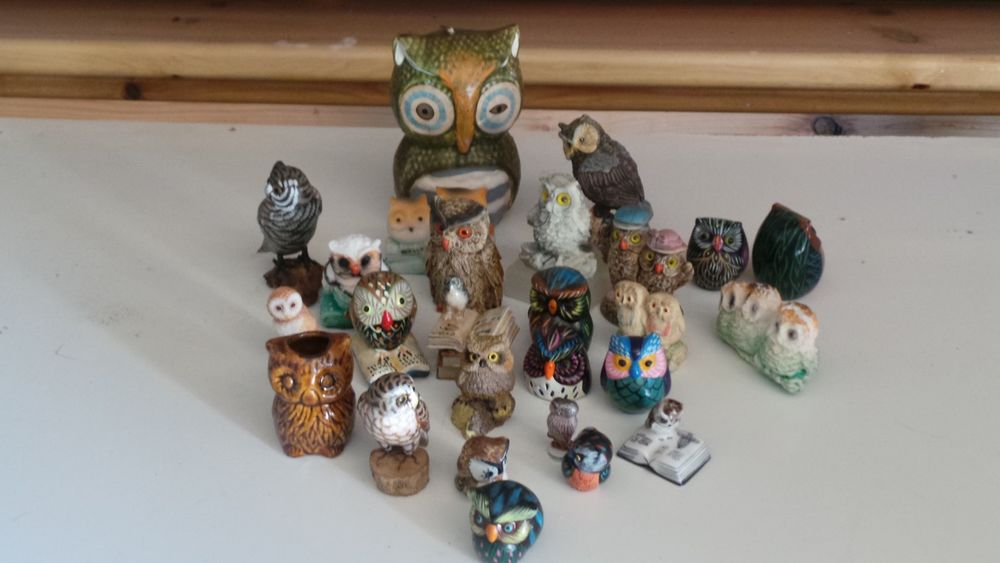 COLLECTION DE CHOUETTES 5 Charantonnay (38)