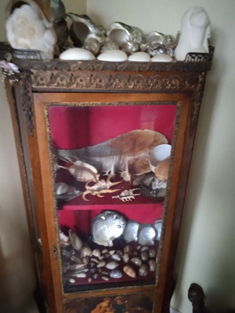 collection de coquillages 200 Saint-James (50)