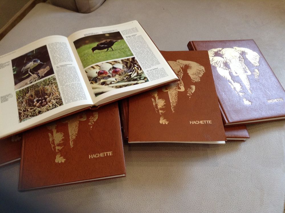 collection Hachette les animaux 30 Sorgues (84)