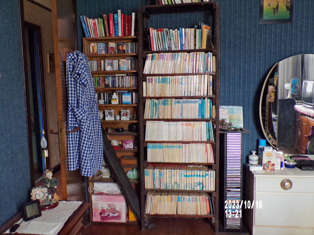 collection  ( HARLEQUIN ) 100 Montgaillard (09)