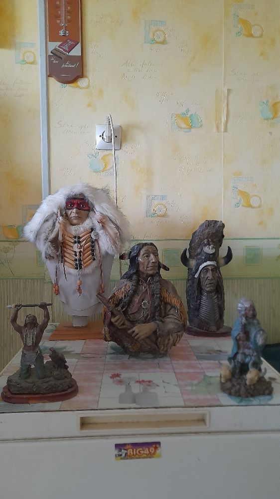 collection indien 50 Saint-Dizier (52)