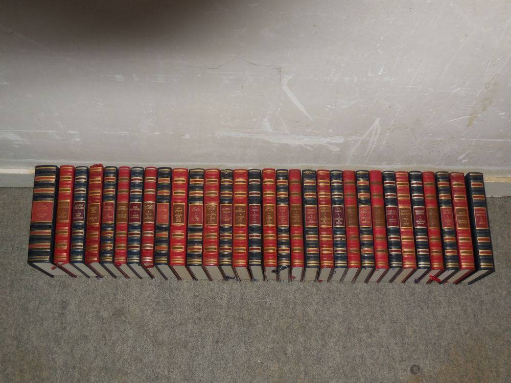 collection livres policiers 2 Saint-Mathurin-sur-Loire (49)