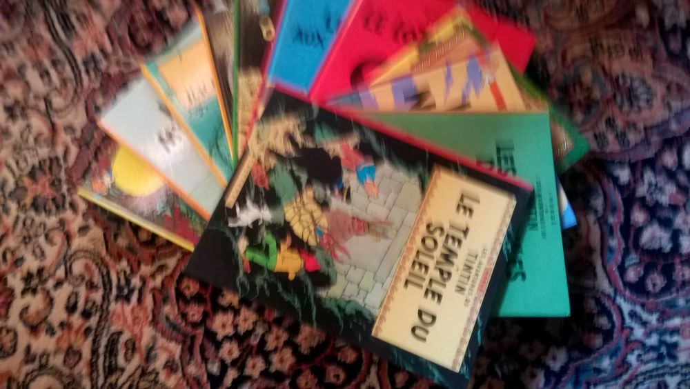 COLLECTION  11 LIVRES  TINTIN 50 Valenciennes (59)