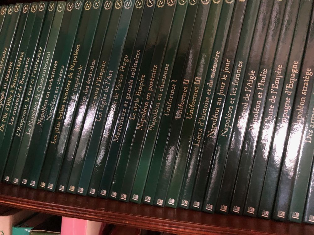 collection sur Napoleon 290 Loisin (74)