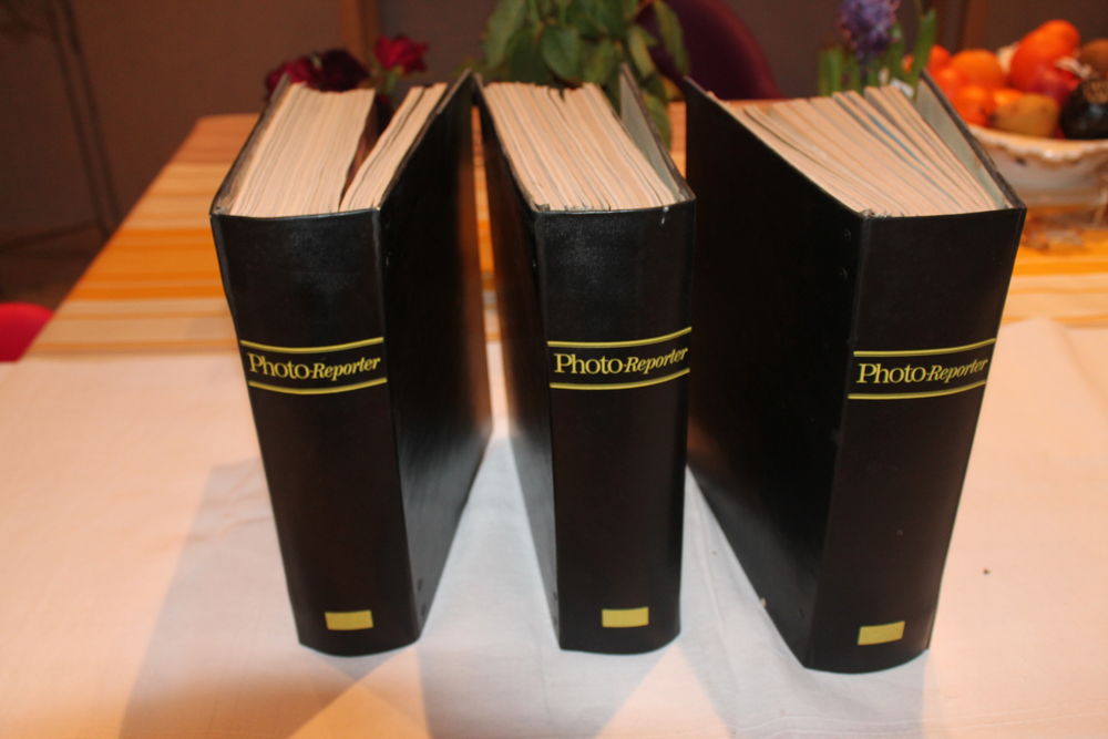 Collection Photos reporter 50 Jard-sur-Mer (85)