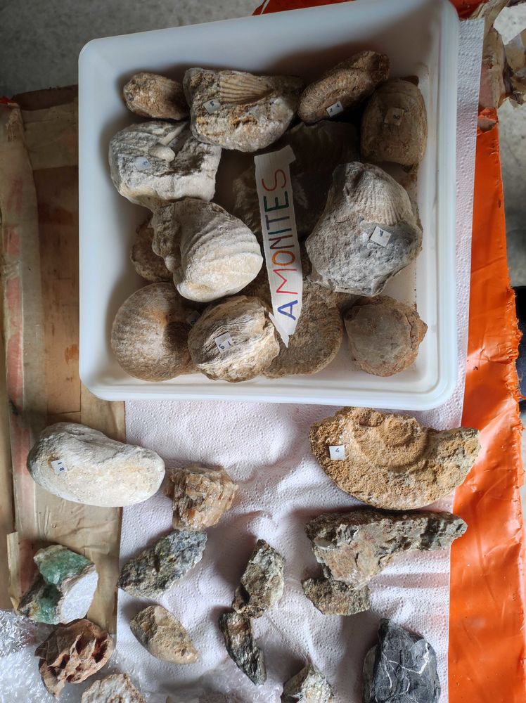collection+pierres+et+fossiles 250 Foix (09)