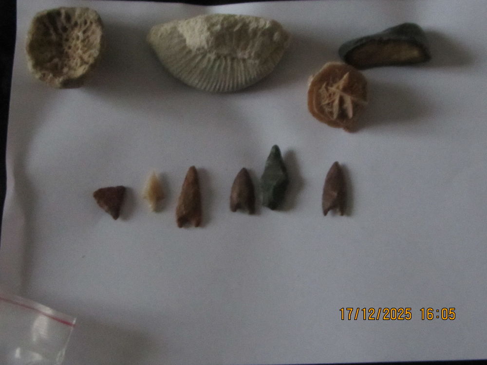 COLLECTION PIERRES ET SYLEX 80 Isdes (45)