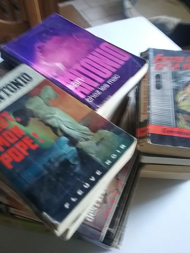 Collection de 25 romans policiers 2 Boutervilliers (91)
