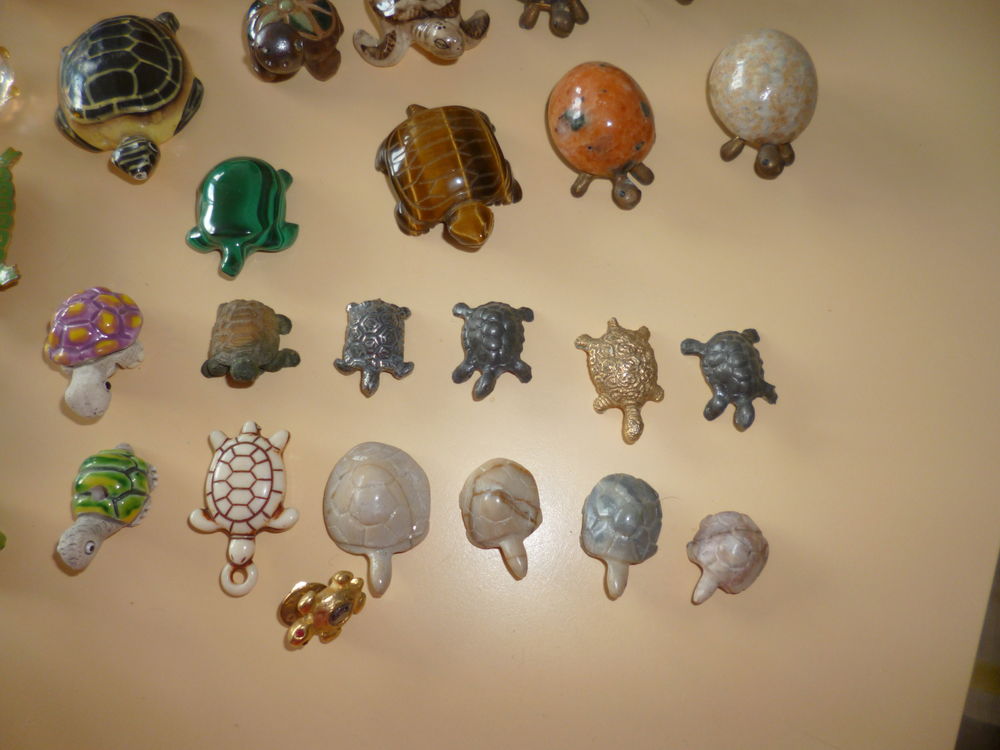 Collection Tortues 70 Maromme (76)
