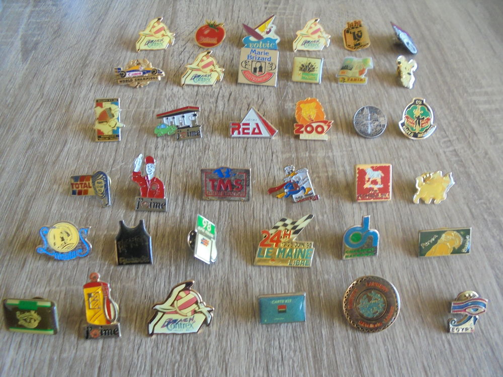 Collection de pin's (28a) 1 Tours (37)