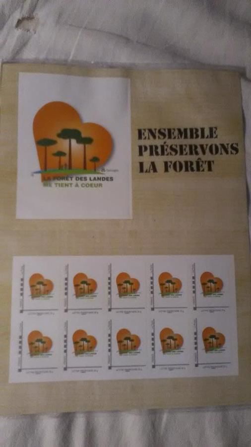 COLLECTOR       FORET DES LANDES     ANNEE 2010 30 Dolus-d'Ol�ron (17)
