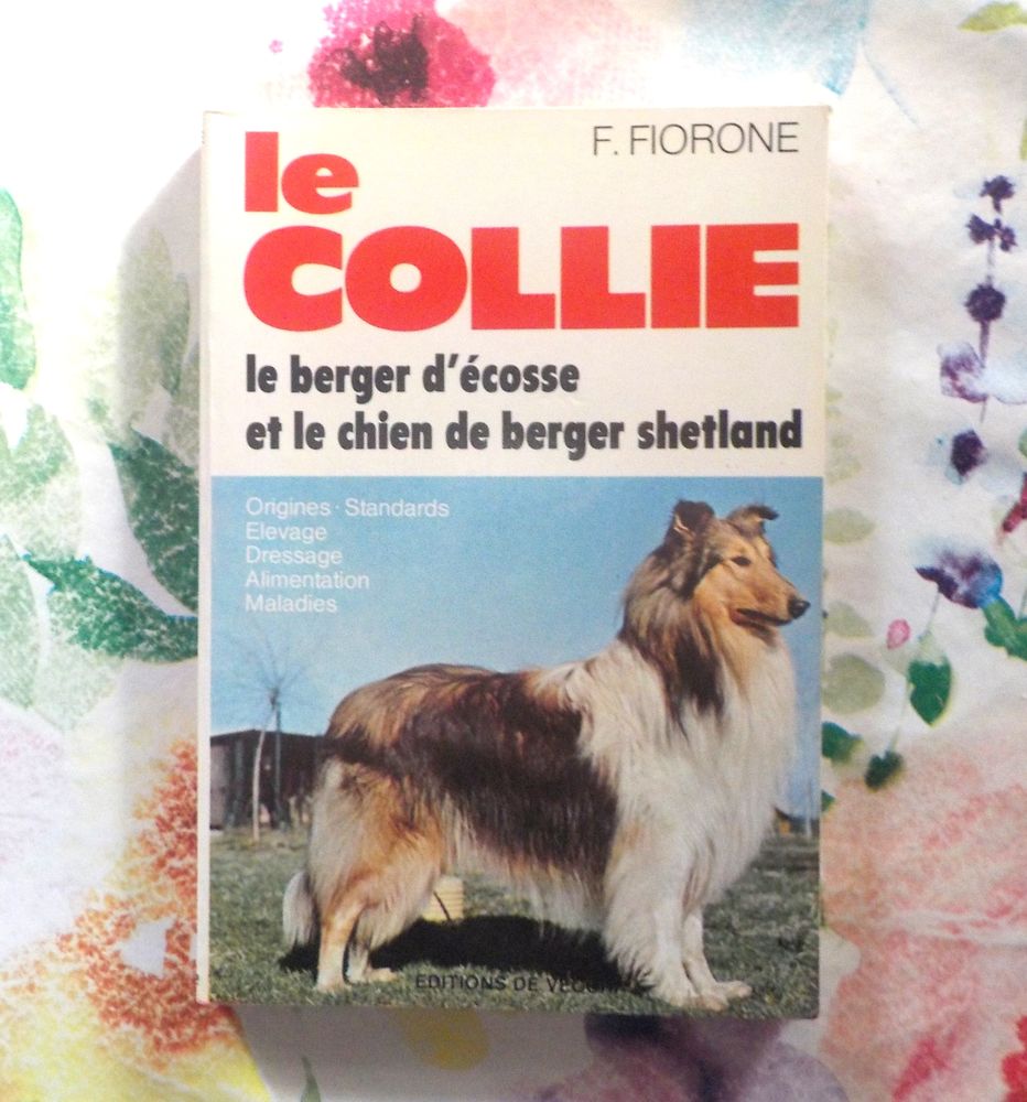 LE COLLIE LE BERGER D'ECOSSE ET LE CHIEN DE BERGER SHETLAND 4 Bubry (56)