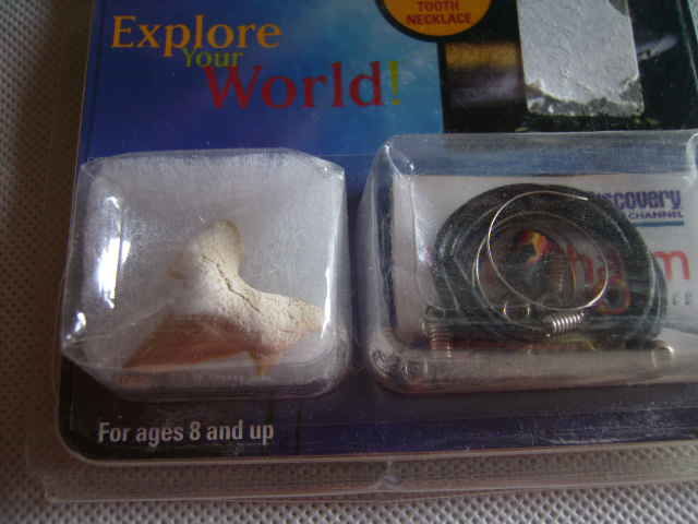 Collier avec dent de requin fossile 15 Wolxheim (67)