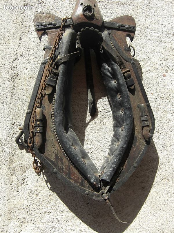 Collier de cheval de trait 40 Ingr� (45)