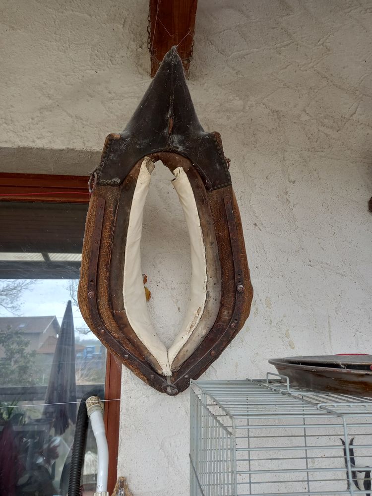 collier � cheval 15 Relevant (01)