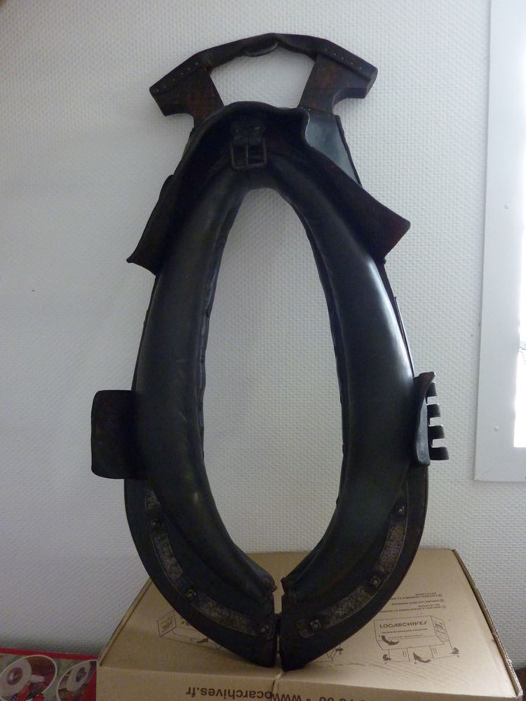 Collier de cheval 40 Gurgy (89)