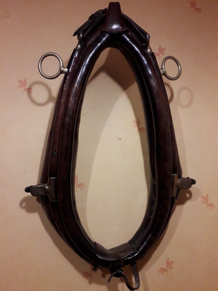 collier chevaux et bajoret vessie de porc 50 Balaz� (35)