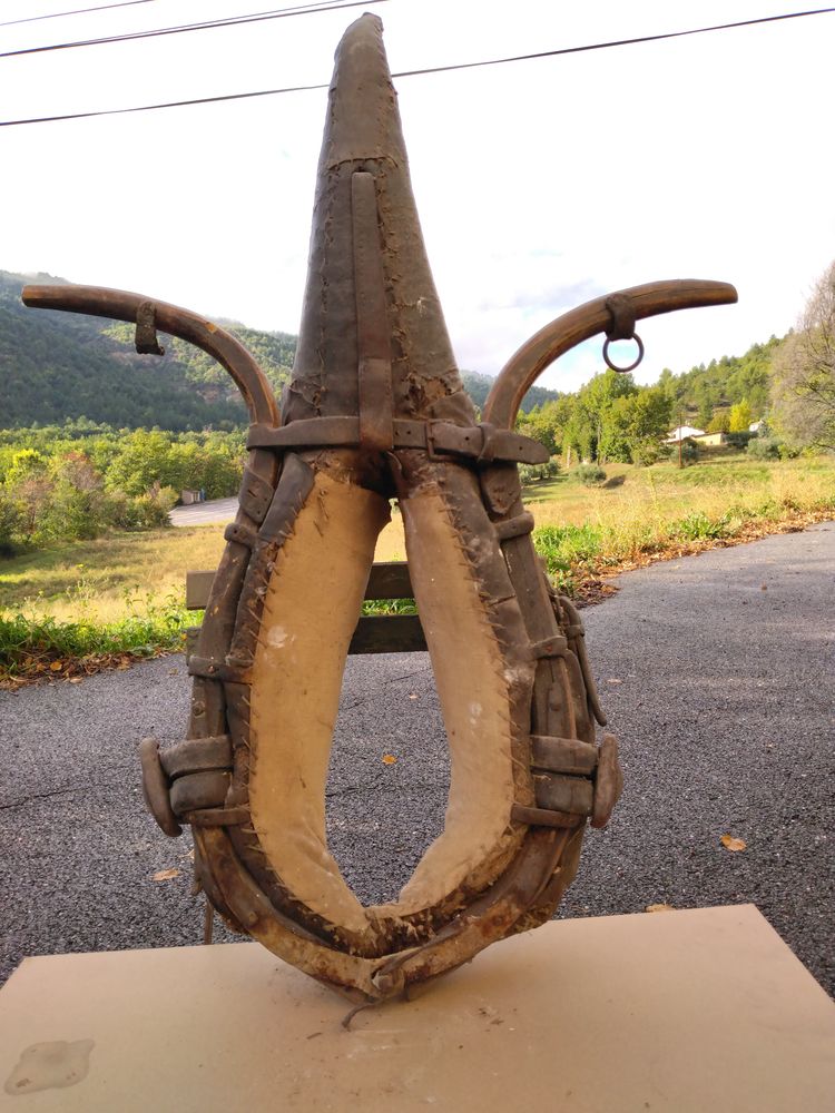 Collier de traction pour �ne ou mulet 0 Digne-les-Bains (04)