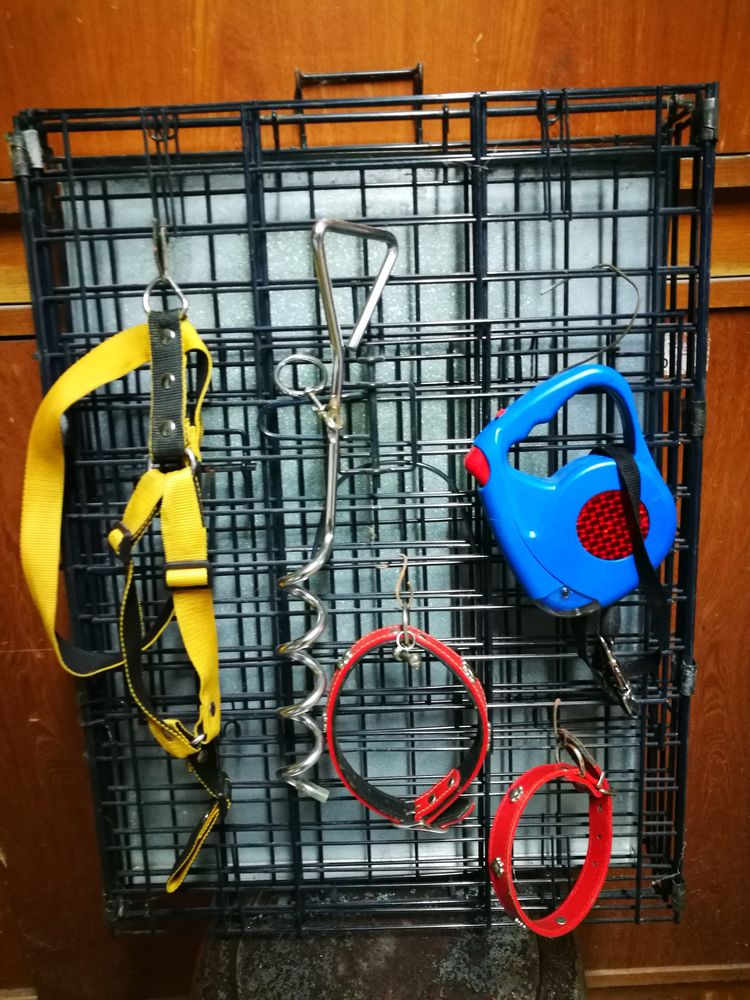 colliers pour chiens 40 Radon (61)