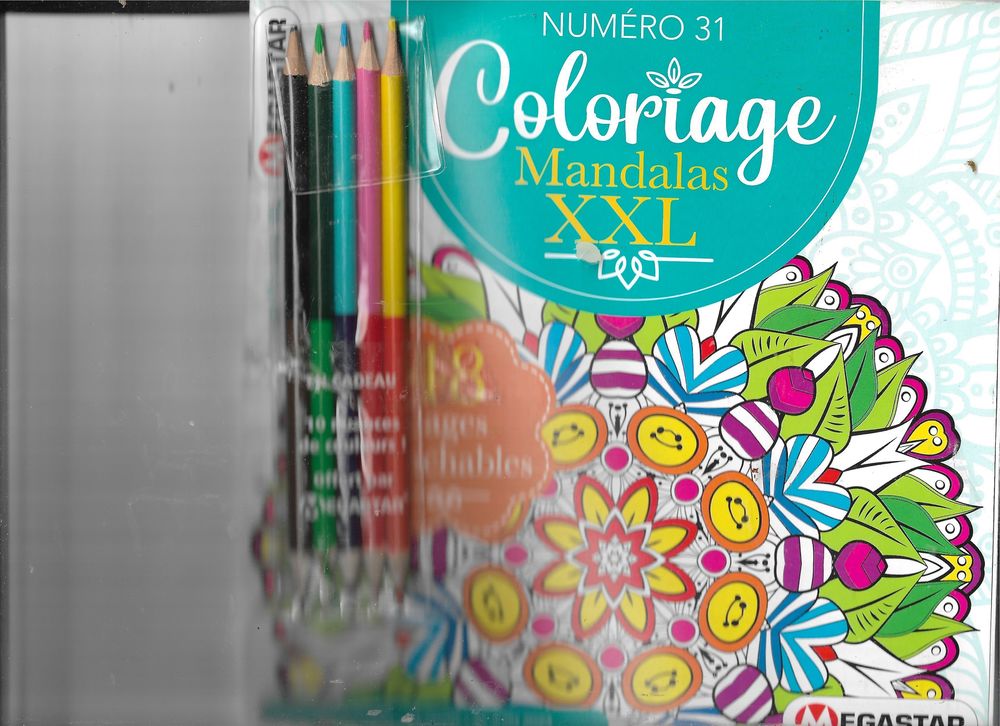 COLORIAGE ADULTE XXL 4 Saint-Denis-en-Val (45)