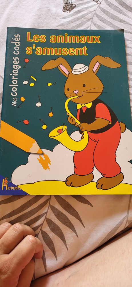 Mes coloriages cod�s Les animaux s'amusent Hemma maternelle 2 Avesnes-sur-Helpe (59)