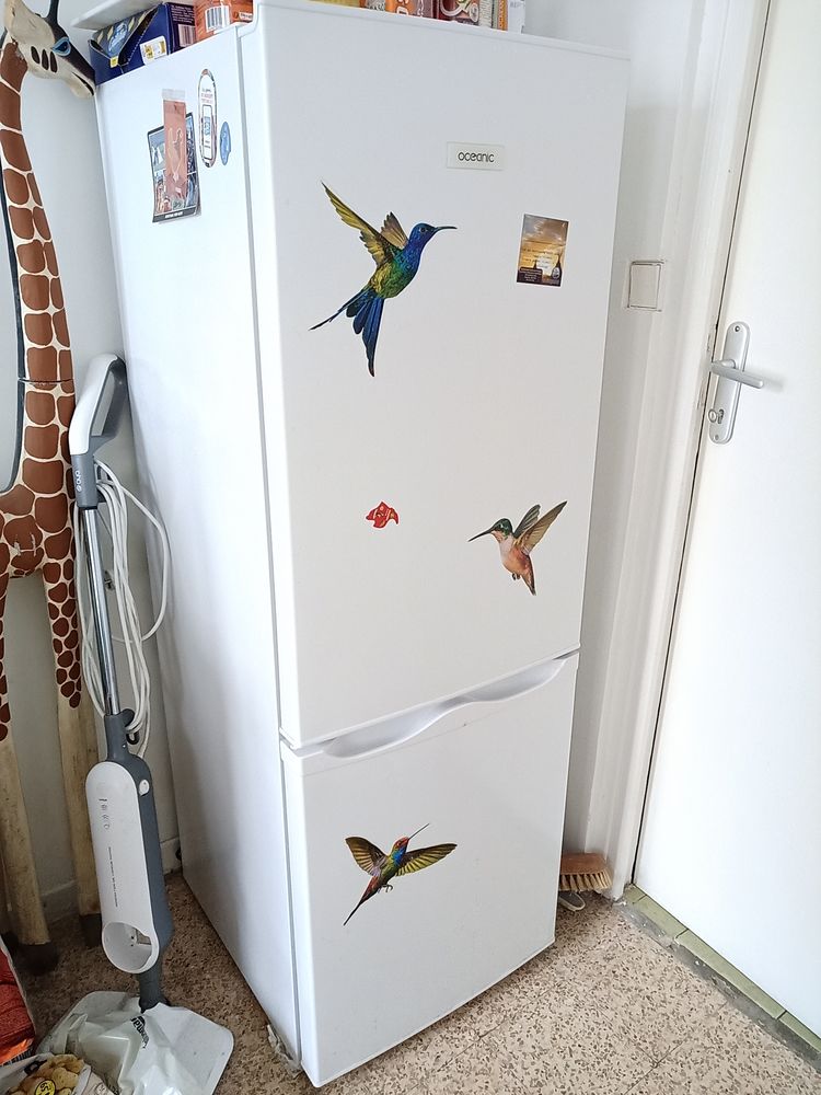 Combi Frigo-Cong�lateur OCEANIC 175L quasi neuf 180 Gournay-en-Bray (76)